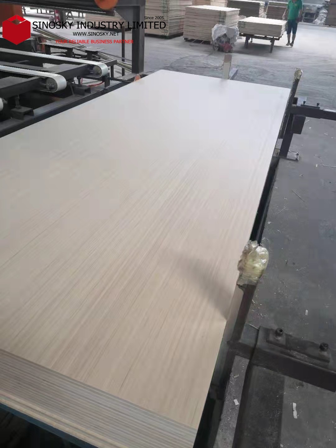 Recon/EV Poplar plywood